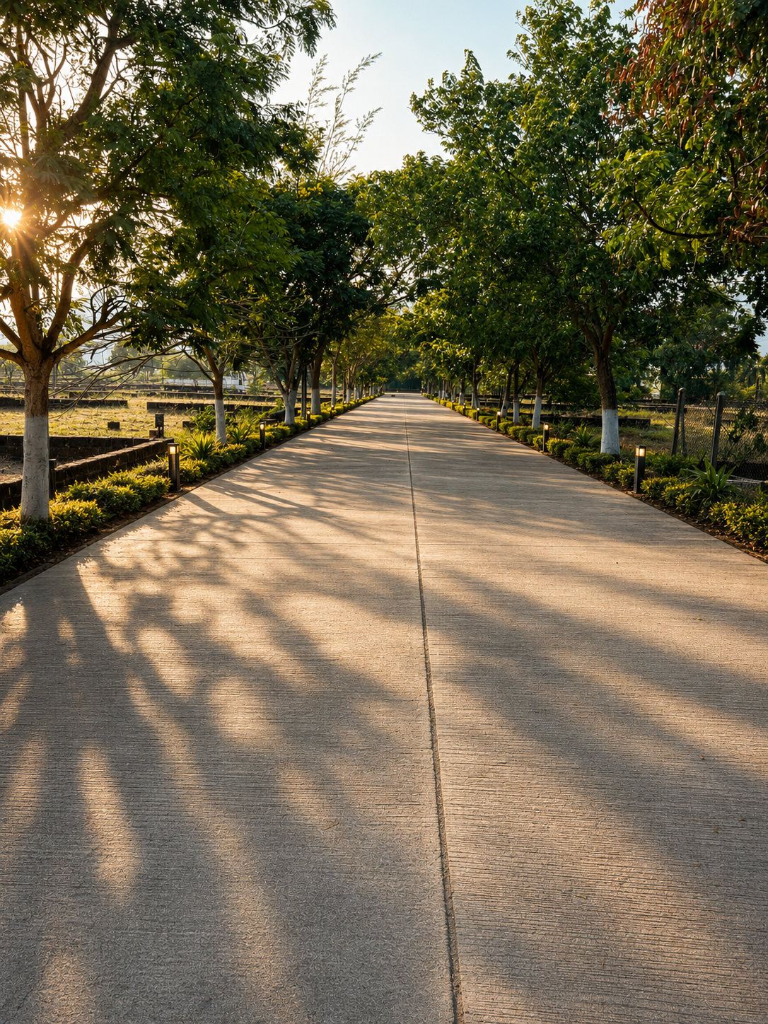 Tree-Lined Main Avenue